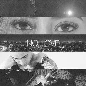 NO LOVE