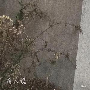 有人说 (降调版)
