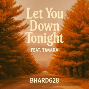 Let You Down Tonight (feat. Timara)