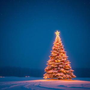 মিষ্টি বড়দিন