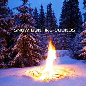 Soothing Snow Bonfire Sounds
