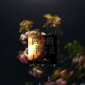 四点的海棠花未眠
