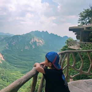 白兰鸽巡游记（翻自 丢火车）