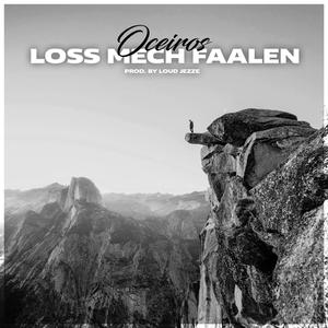 Loss mech faalen
