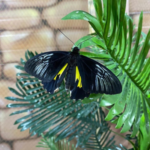 тлеет (Prod. by The ARTISANS)