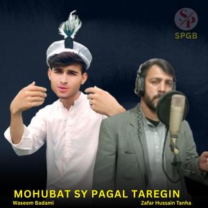 Mohubat Sy Pagal Taregin (feat. Waseem Badami & Zafar Hussain Tanha)