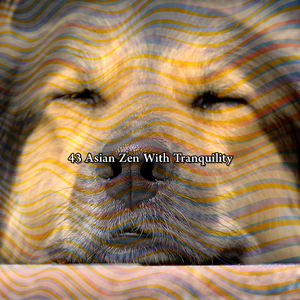 深度睡眠放松；整夜的睡眠歌曲，帮助您放松；难以入睡的音乐宇宙