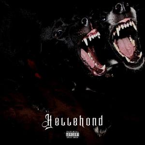 Hellehond