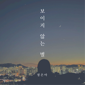 보이지 않는 별