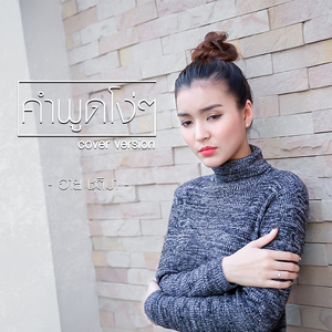 คำพูดโง่ๆ (Cover)