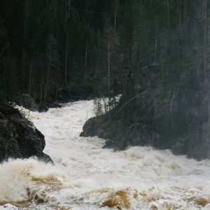 紧张 事态紧急 （紧急新闻音乐）