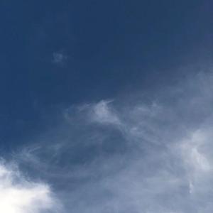 一个歌手的情书