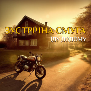 Їду додому