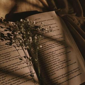 Peaceful Jakarta Raindrops