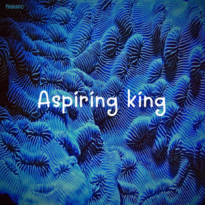 Aspiring king
