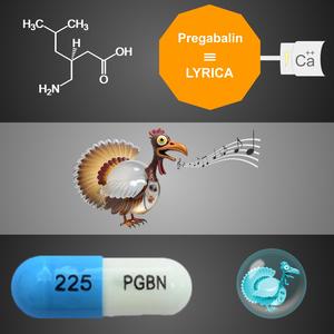 Pregabalin (Renally Cleared Version)