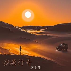 沙漠行舟