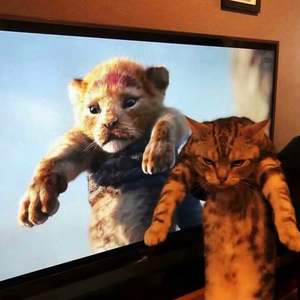 Gone bad（蝴蝶步）