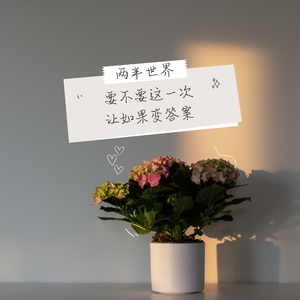 爱的世界就像下雨天