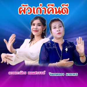 ผัวเก่าคืนดี