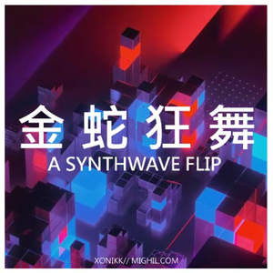 金蛇狂舞 (Xonikk Synthwave Flip)