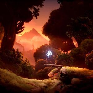 不需要眼泪的一年