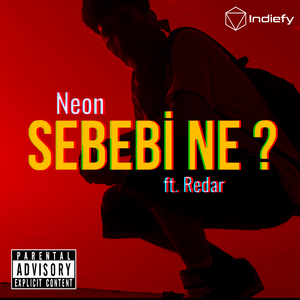 Sebebi Ne ?