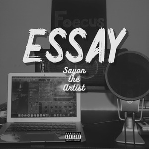Essay
