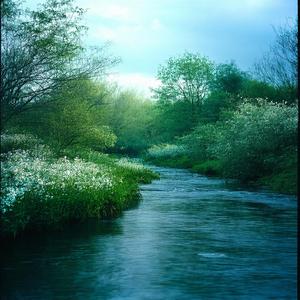 The Lonely Wild Goose Reprise