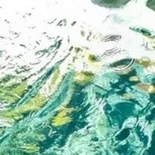 这一生关于你的风景