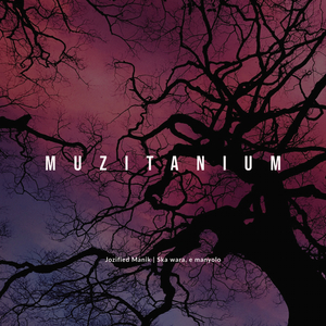 Simuye, Not Two (Original Mix)