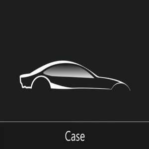 Case