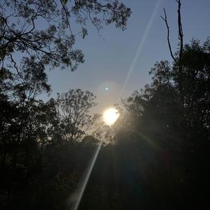 First Light (Original Mix)