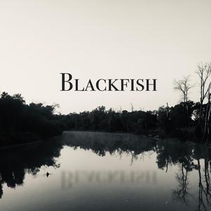 Blackfish