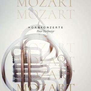 Konzert für Horn in E-Flat Major, K. 447: III. Allegro