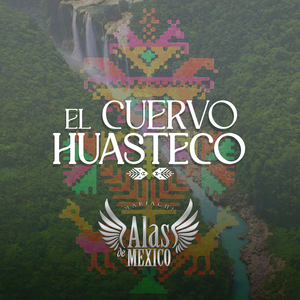 El Cuervo Huasteco