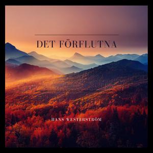 Det förflutna