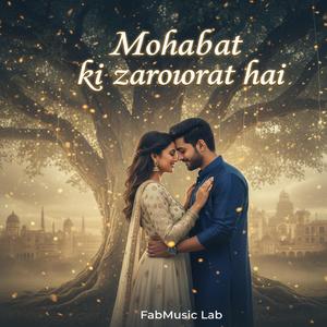 Mohabbat Ki Zaroorat Hai