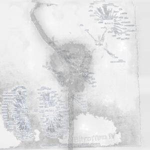 Wheeze On A Clouded Window (Orange)