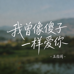 我曾像傻子一样爱你（抖音热播版）