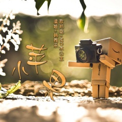 欢快节奏不一样的曲风感受