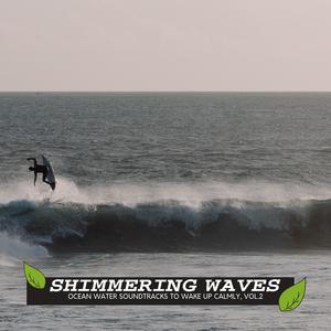 Morning Birds at Coniferous Forest