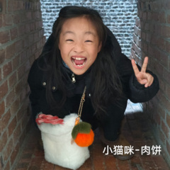 小猫咪-肉饼