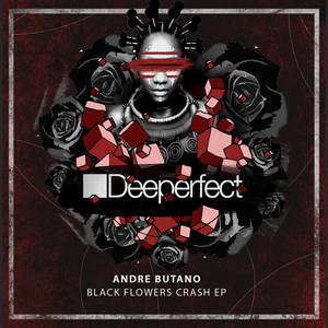 Black Flowers Crash (James Dexter Remix)