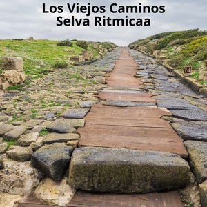Sin Permiso