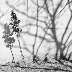 내 하나뿐인 그대 (Inst.)