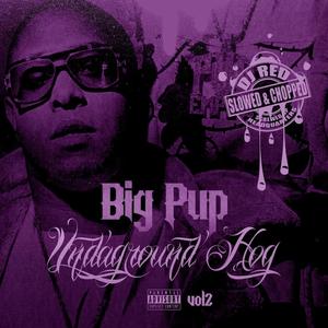 Time to Get Paid (feat. DJ Red) (Slowed & Chopped)