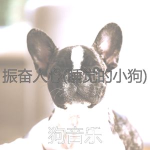 睡狗(音乐)