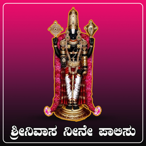 Srinivasa Nine Paalisu