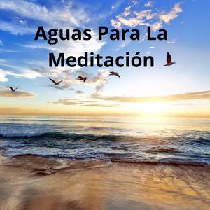 Бясалгалд зориулсан ус